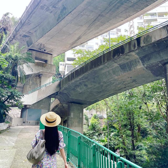 滿滿荒涼幽靜感～城中天橋秘景
