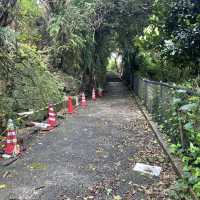 首里城まで続く石畳道をゆっくりと歩く