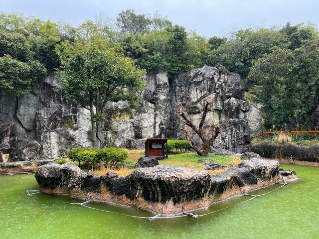 日本第一位動物園｜高知縣立野市動物園