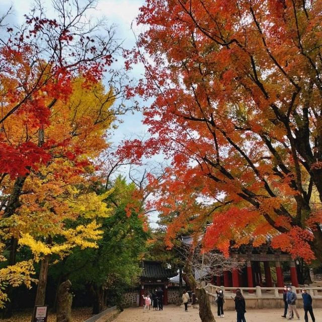 Colours at Bulguksa Temple  Gyeongju