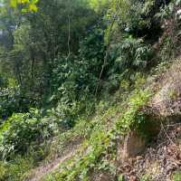 The Long Forgotten Bukit Batok Hillside