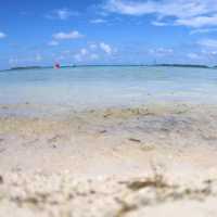 【沖縄 国頭村】エメラルドビーチ🏝️✨🏝️✨🏝️