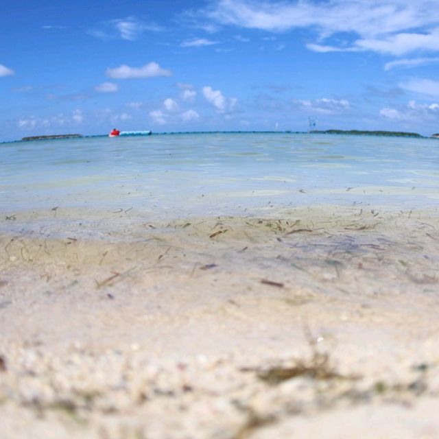【沖縄 国頭村】エメラルドビーチ🏝️✨🏝️✨🏝️