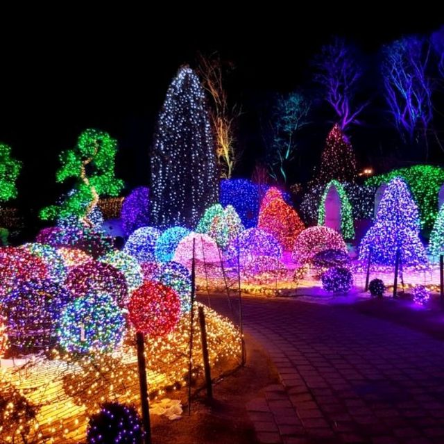 Illumination at Garden of Morning calm