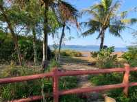 【CP值最高的紅樹林~泥涌🌴】