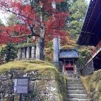 【日光】紅葉の綺麗な日光輪王寺大護摩堂
