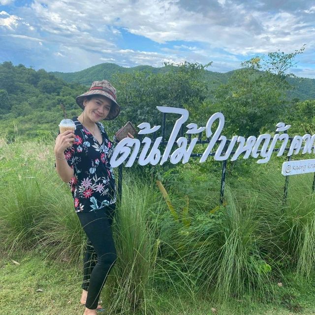 ใบไม้ใบหญ้าค่าเฟ่
