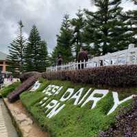 Day Trip to Kundasang