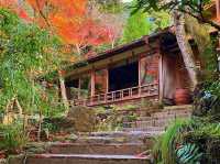 京都・嵐山 『祐斎亭』の紅葉