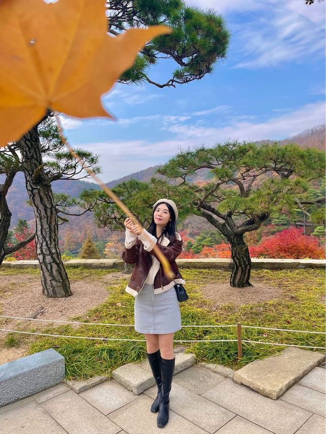 단풍여행에서 꼭 가야할 화담숲✨