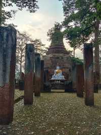 วัดนาควัชรโสภณ (วัดช้าง)