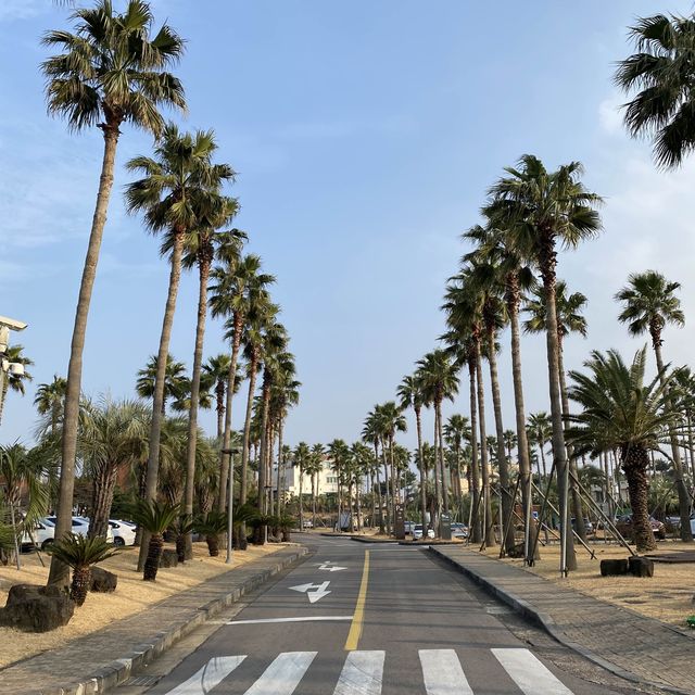 Wonderful Stay in Jeju - Hamdeok Beach