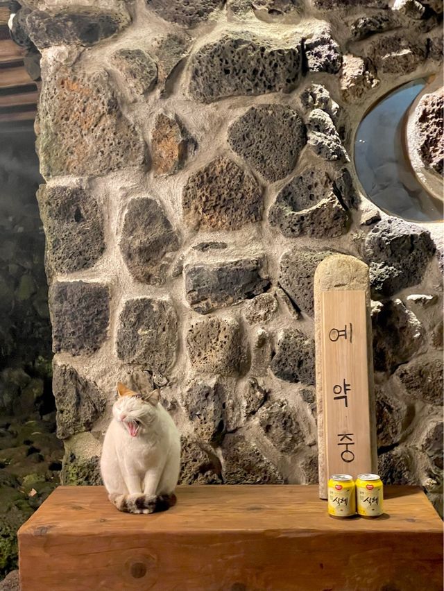 🛖황토찜질방이 있는 제주 숙소가 있다?!🤭