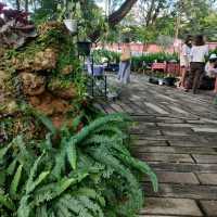 ค่าเฟ่สไตล์สวนป่า กลางเมืองเชียงใหม่