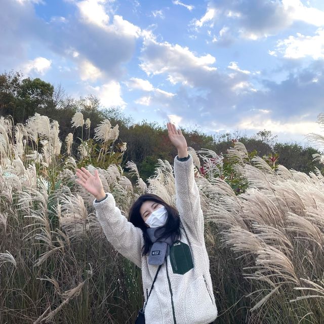 강원도 강릉시 호린파크에서 해외를 느껴보세요