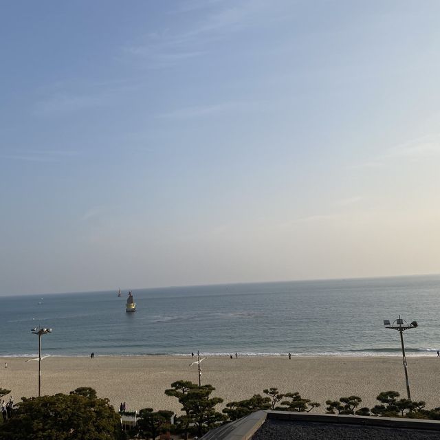 파라다이스 호텔 부산 사용 후기