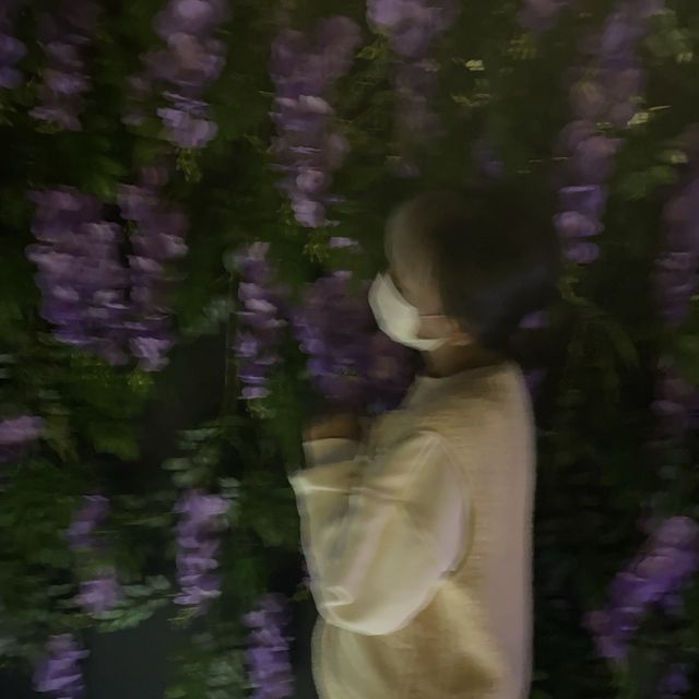 추운 겨울, 실내에서 제주를 즐기는 방법