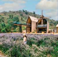 CHAN nature cafe' 