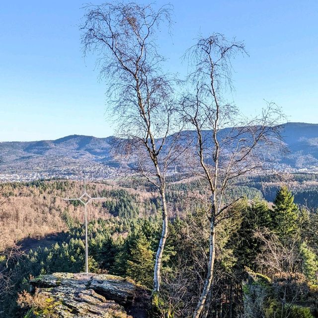 Morning hikes in Baden-baden, Germany 