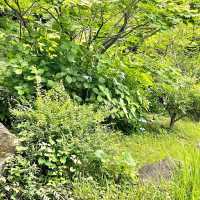 毛利庭園の写真スポット　金のハート型　Kin no Kokoro

