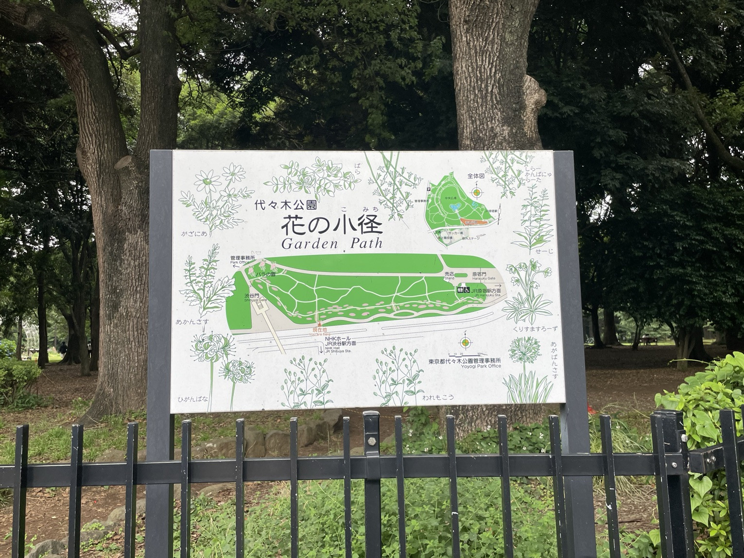 東京】公園と言えば代々木公園 | Trip.com 東京