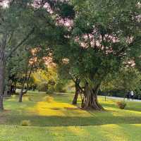 Attractive garden in 🇸🇬 Jurong Lake Gardens