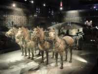 Terracotta Army 兵马俑博物馆