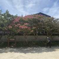 가족여행의 필수코스 ‘전주 한옥마을’