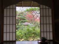 【福岡】動植物園近くの日本庭園
