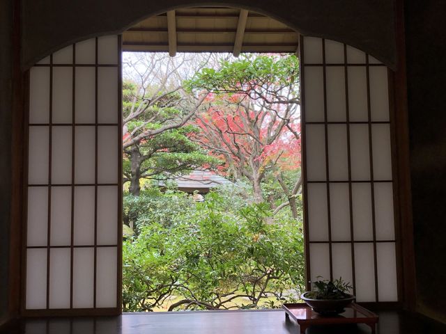 【福岡】動植物園近くの日本庭園