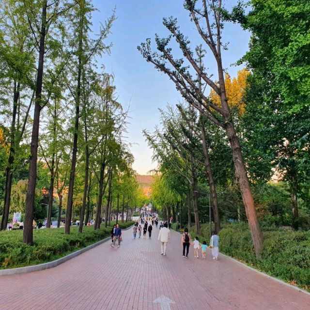 서울에 있는 가성비 놀이공원 끝판왕