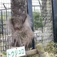 平川動物公園【鹿児島県/鹿児島市】
