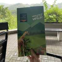 Safari Trip I