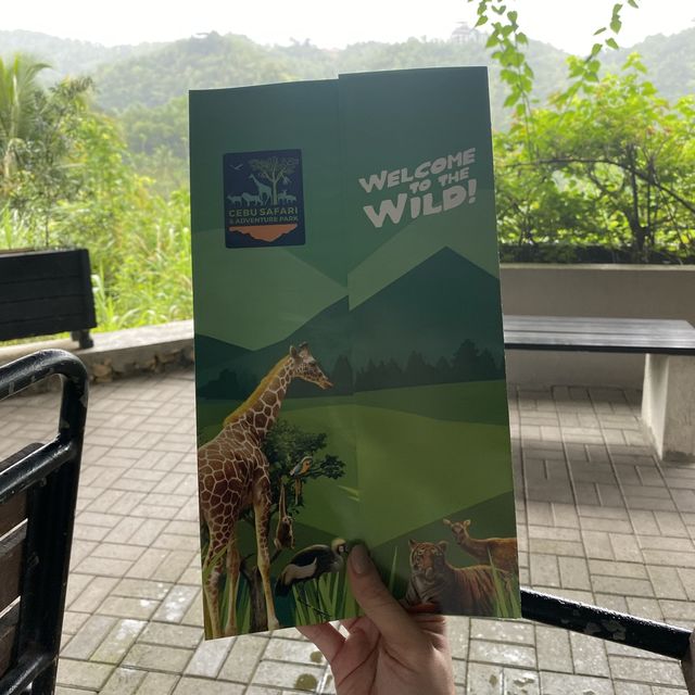 Safari Trip I