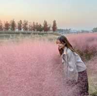 가을정취 물씬, 시흥 갯골생태공원