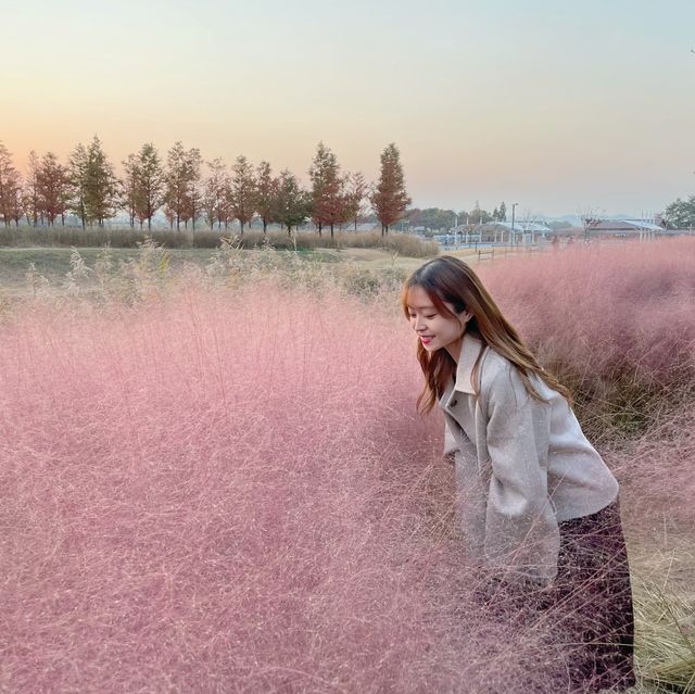 가을정취 물씬, 시흥 갯골생태공원