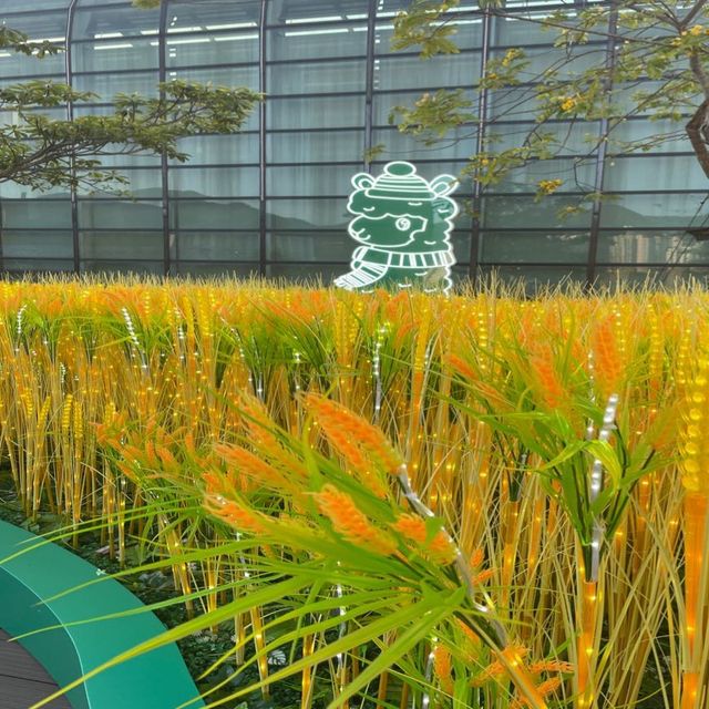 聖誕🎄新城市粉紅草泥馬🦙閃閃世界💕浪漫🌹打卡必到