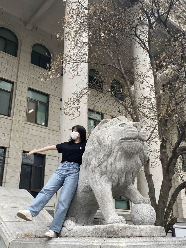 벚꽃 구경은 경희대학교에서 🏛️🌸
