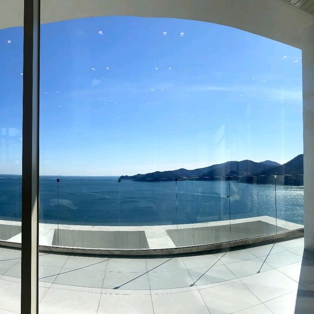 여수 바다를 통째로 삼킨 감성카페 🌊모이핀🌊