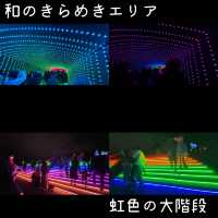 大井競馬場 東京メガイルミ【東京都/品川区】