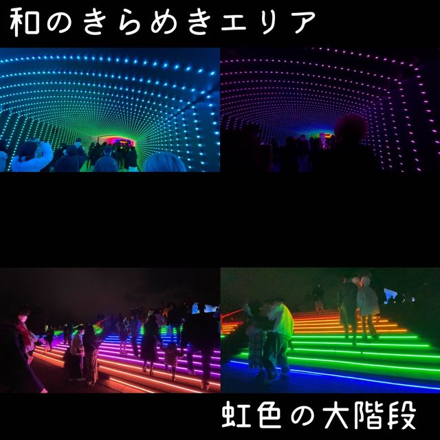 大井競馬場 東京メガイルミ【東京都/品川区】