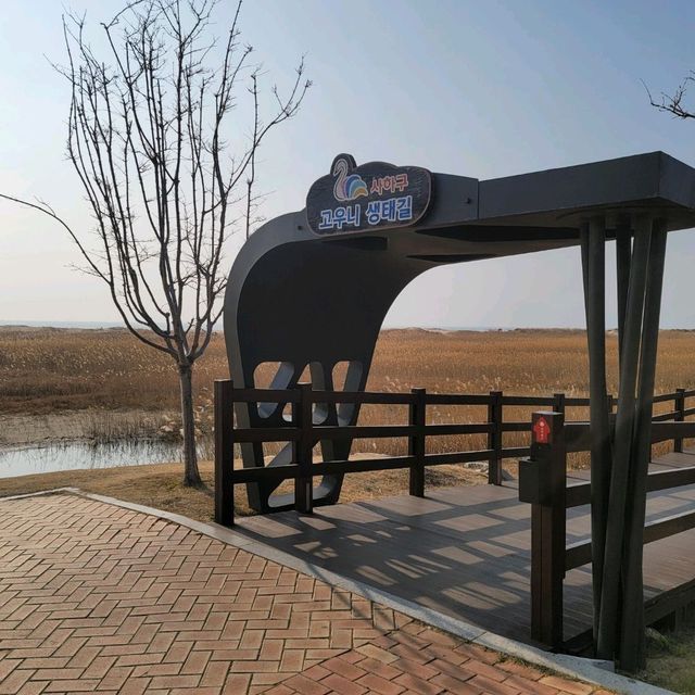 다대포 해수욕장
