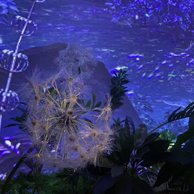 하리보 천국 (하리보 1백주년)