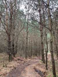 De Valuwe, Nature Area 