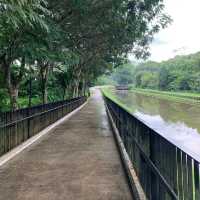 Springleaf Nature Park 
