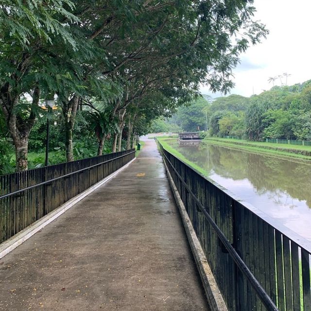 Springleaf Nature Park 
