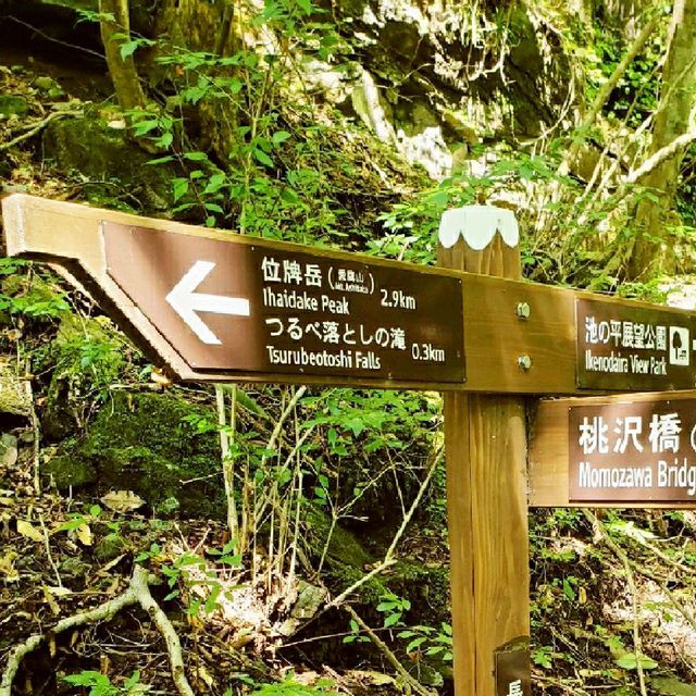 【愛鷹山】位牌岳