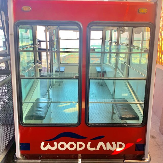 [🇰🇷, 대구] 뷰맛집, 앞산공원 케이블카 🚠