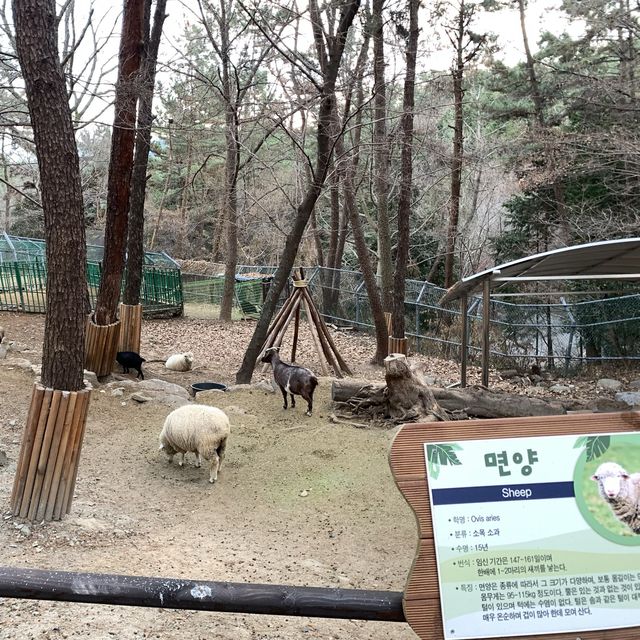 [진주 필수코스 ‘진양호동물원’]