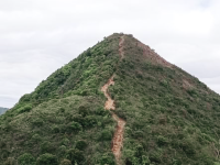 針山